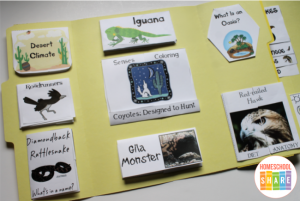 Desert Animals Lapbook - Homeschool Share