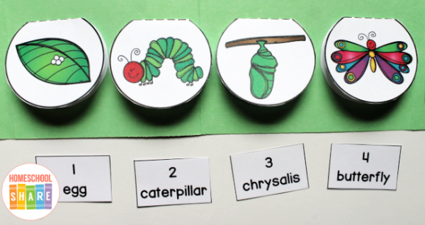 Hungry, Hungry Caterpillar Lapbook - Homeschool Share