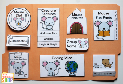 Mouse Lapbook - Homeschool Share