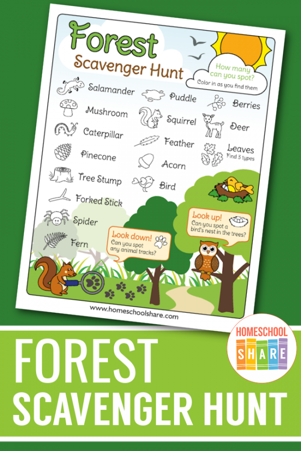 Free Forest Scavenger Hunt - Homeschool Share