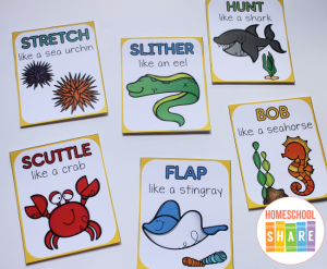 Ocean Animal Movement Cards - Homeschool Share