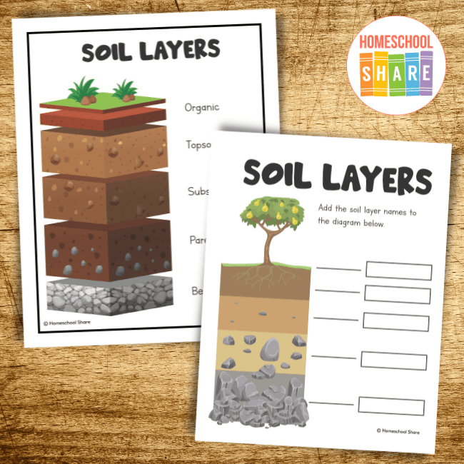 Soil Layers Worksheet For Kids