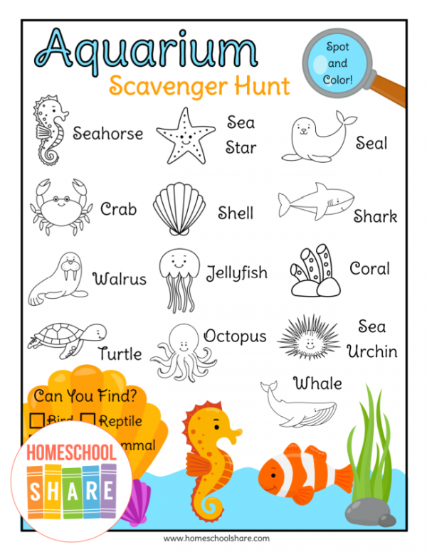 Free Aquarium Scavenger Hunt - Homeschool Share