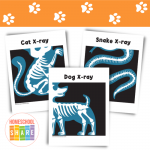 Vet Clinic Pretend Play Printables - Homeschool Share