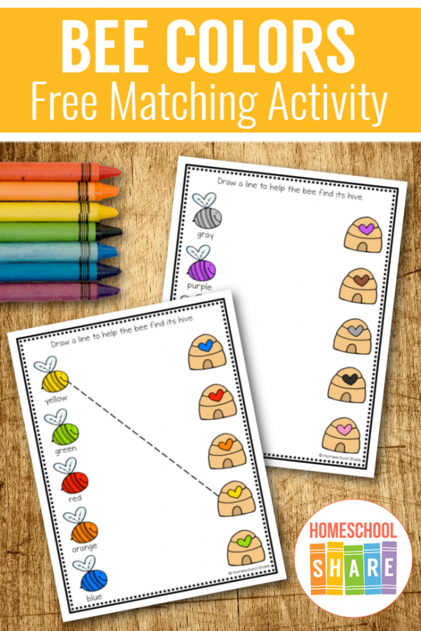 Bee Color Matching Worksheets - Homeschool Share