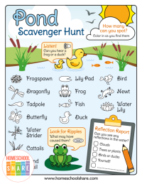 Free Pond Scavenger Hunt for Kids - Homeschool Share