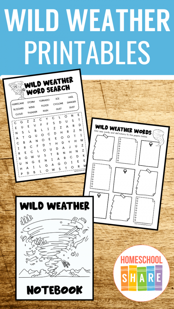 free-extreme-weather-worksheets-homeschool-share