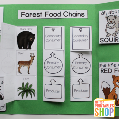 Forest Lapbook - Homeschool Share