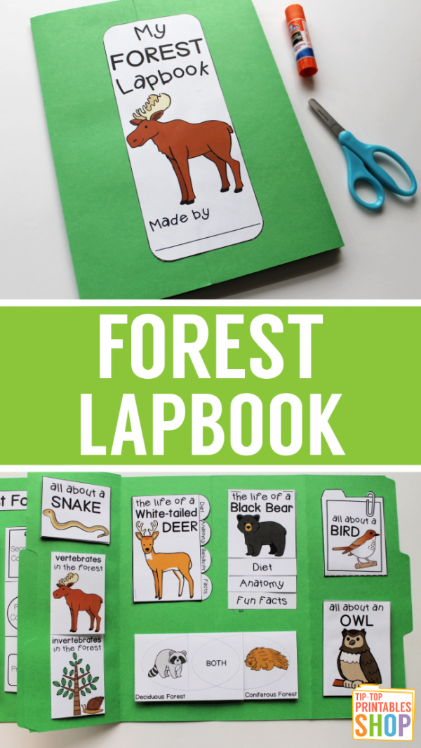 forest-lapbook-homeschool-share