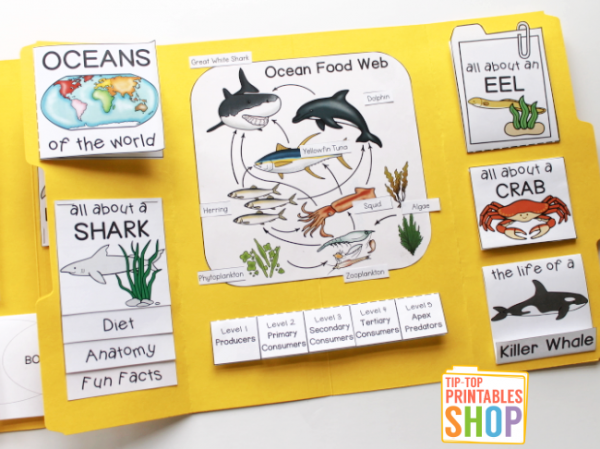 Ocean Lapbook - Homeschool Share