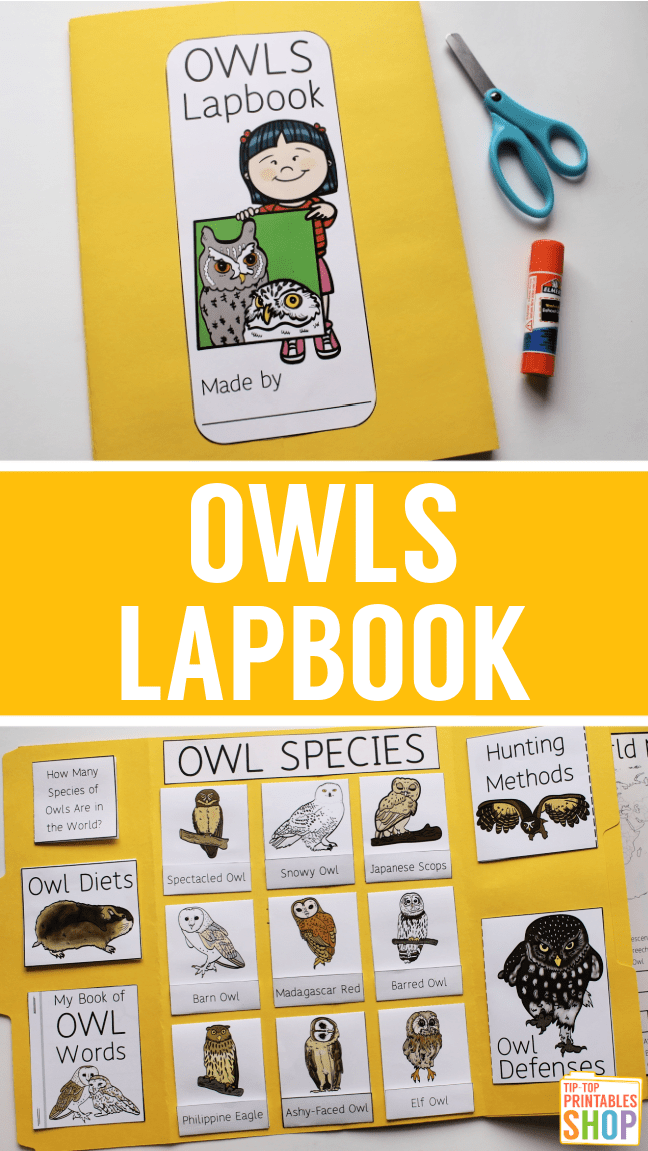 Owl Lapbook - Homeschool Share