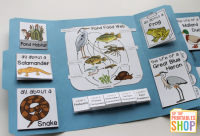 Pond Lapbook - Homeschool Share