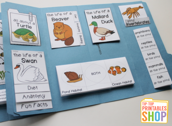 Pond Lapbook - Homeschool Share