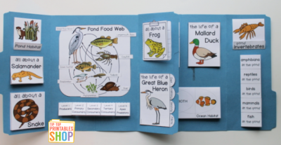 Pond Lapbook - Homeschool Share