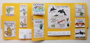 Ocean Lapbook - Homeschool Share