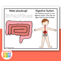 Human Body Playdough Mats (free!) - Homeschool Share