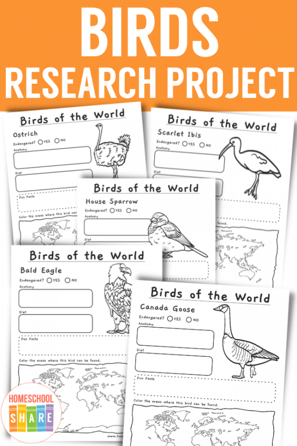 bird research project ideas