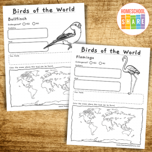 bird research project ideas