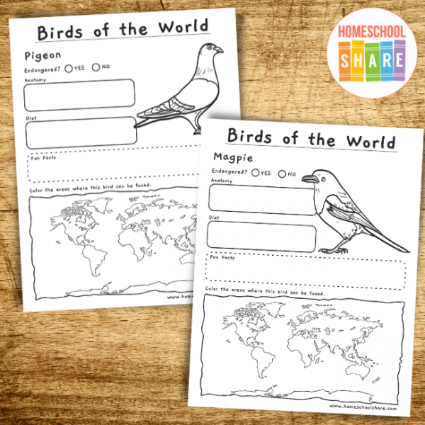 bird research project template