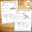 Bird Research Project - Homeschool Share