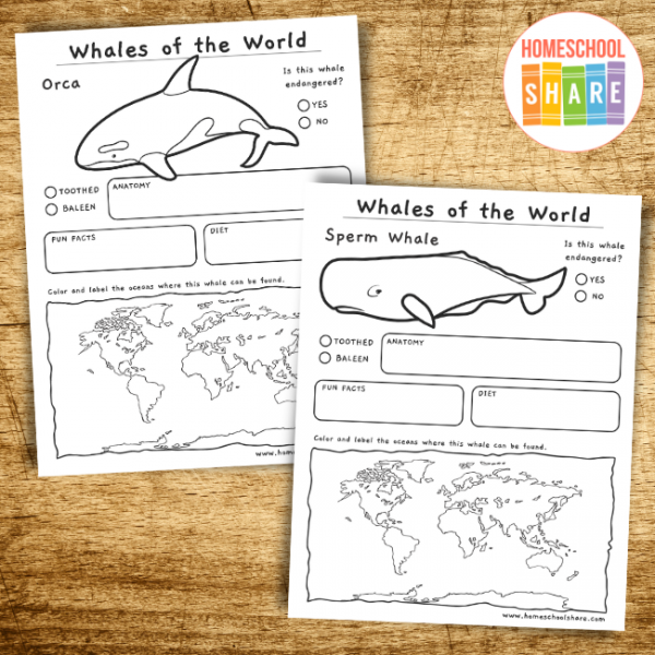 free-printable-whale-worksheets-homeschool-share