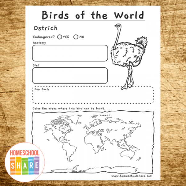 bird research project template